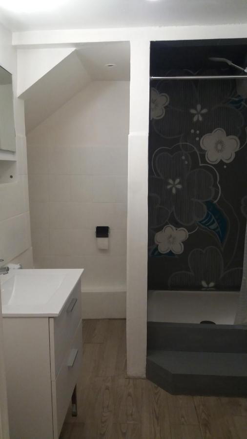 Appartement T2 Sur Place Tranquille Avec Camera Metz Exterior photo